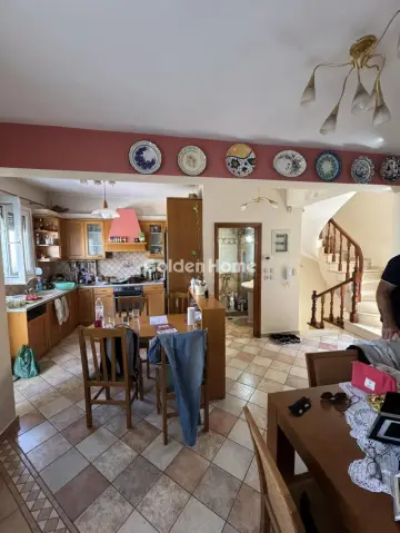 Μονοκατοικία 300τ.μ. προς πώληση φωτογραφία 5022548