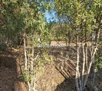 Residential 600m<sup>2</sup> for sale photo 3
