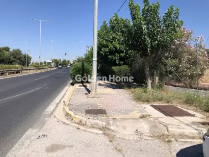 Professional Plot 4000m<sup>2</sup> for rent photo 5