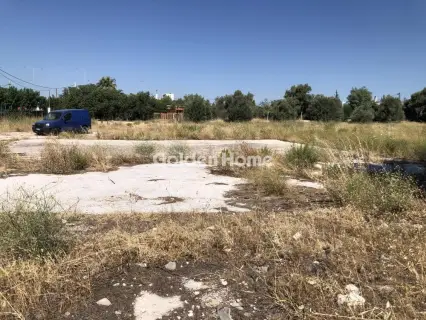Professional Plot 4000m<sup>2</sup> for rent photo 4