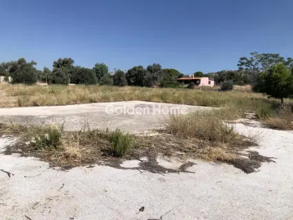 Professional Plot 4000m<sup>2</sup> for rent photo 3