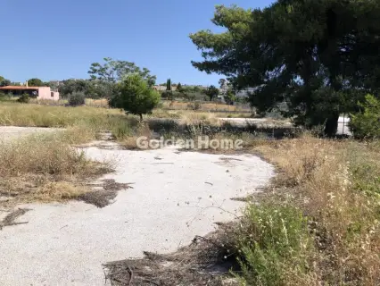 Professional Plot 1800m<sup>2</sup> for rent photo 2