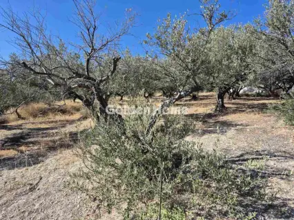 Parcel 529m<sup>2</sup> for sale photo 1