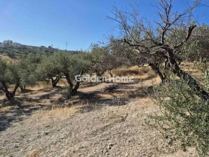 Parcel 529m<sup>2</sup> for sale photo 2