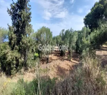 Οικιστικό 2736τ.μ. προς πώληση φωτογραφία 4988384