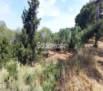Οικιστικό 2736τ.μ. προς πώληση φωτογραφία 4988385