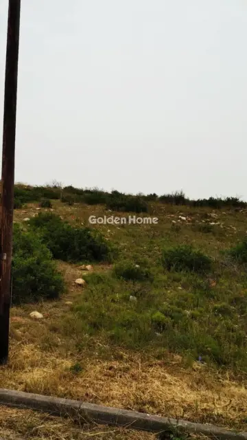 Residential 431m<sup>2</sup> for sale photo 1