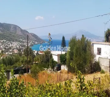 Μονοκατοικία 173τ.μ. προς πώληση φωτογραφία 5003280