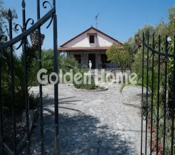 Golden Home Property Image