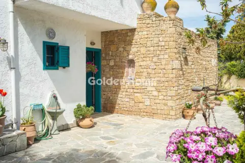 Μονοκατοικία 370τ.μ. προς πώληση φωτογραφία 63