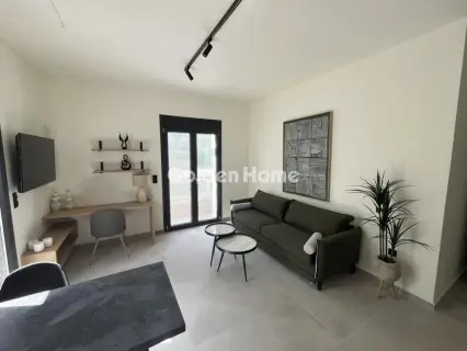 Apartment 47m<sup>2</sup> for rent photo 3