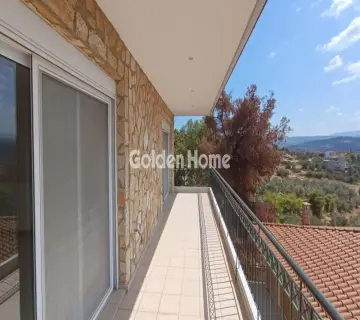 Residence complex 640m<sup>2</sup> for sale photo 5004226