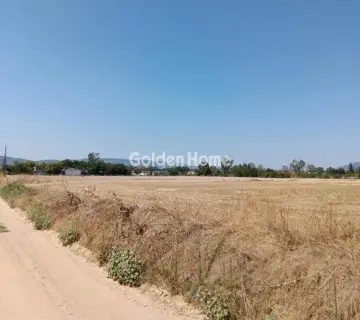 Αγροτεμάχιο 11000τ.μ. προς πώληση φωτογραφία 4995862