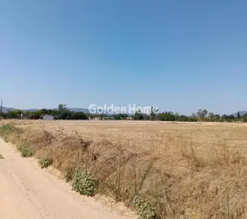 Αγροτεμάχιο 11000τ.μ. προς πώληση φωτογραφία 4995862