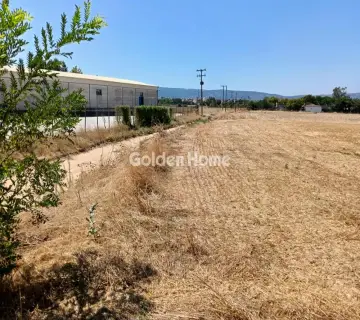 Αγροτεμάχιο 11000τ.μ. προς πώληση φωτογραφία 4995862