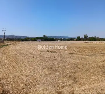 Αγροτεμάχιο 11000τ.μ. προς πώληση φωτογραφία 4995863