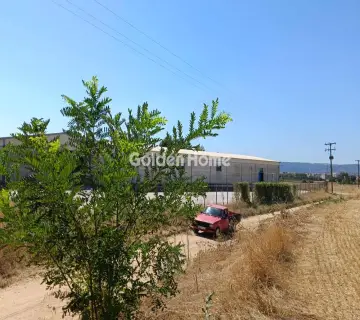 Αγροτεμάχιο 11000τ.μ. προς πώληση φωτογραφία 4995864