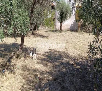 Επαγγελ. Οικόπεδο 1400τ.μ. προς ενοικίαση φωτογραφία 4996173