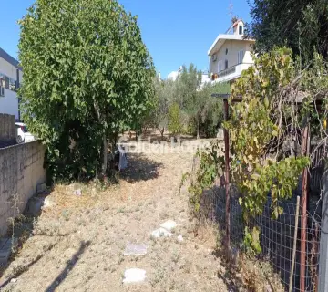 Επαγγελ. Οικόπεδο 1400τ.μ. προς ενοικίαση φωτογραφία 4996175