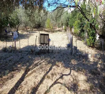 Επαγγελ. Οικόπεδο 1400τ.μ. προς ενοικίαση φωτογραφία 4996172