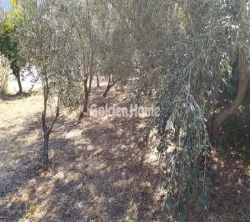 Επαγγελ. Οικόπεδο 1400τ.μ. προς ενοικίαση φωτογραφία 4996177