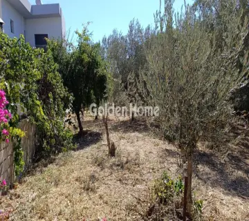 Επαγγελ. Οικόπεδο 1400τ.μ. προς ενοικίαση φωτογραφία 4996178