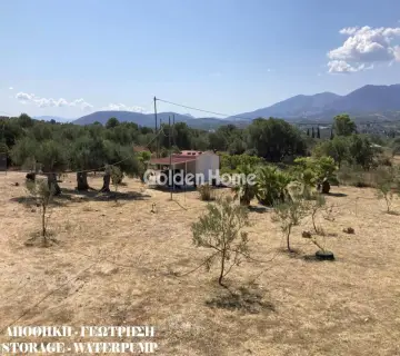 Golden Home Property Image