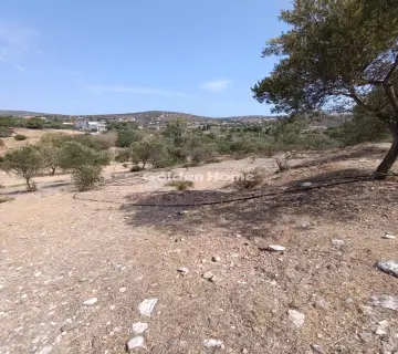 Μονοκατοικία 360τ.μ. προς πώληση φωτογραφία 6