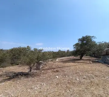Μονοκατοικία 360τ.μ. προς πώληση φωτογραφία 7