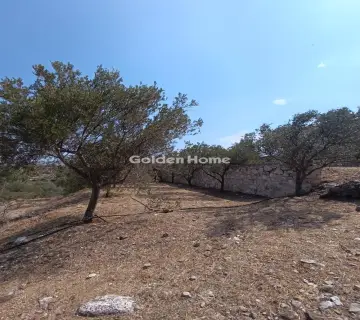 Μονοκατοικία 360τ.μ. προς πώληση φωτογραφία 8