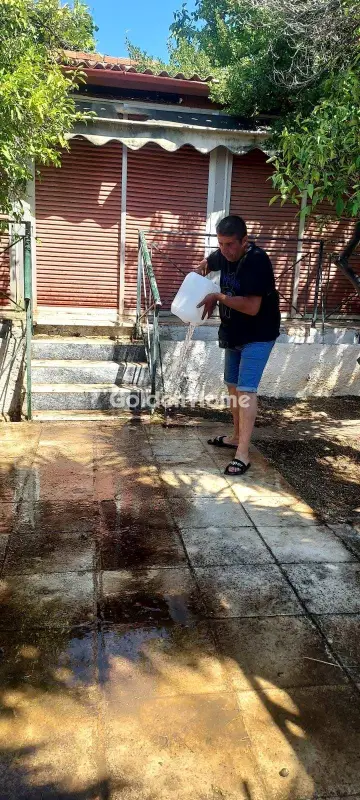 Μονοκατοικία 83τ.μ. προς πώληση φωτογραφία 4