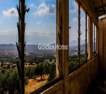 Golden Home Property Image