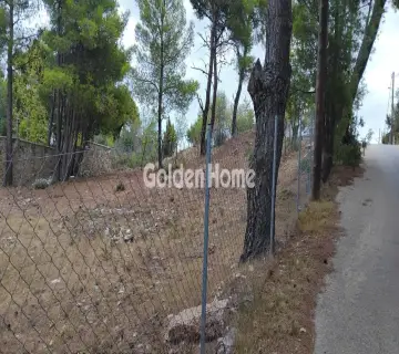 Residential 536m<sup>2</sup> for sale photo 2