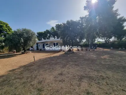 House 133m<sup>2</sup> for sale photo 2