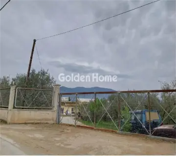 Golden Home Property Image