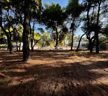 Αγροτεμάχιο 294τ.μ. προς πώληση φωτογραφία 5007748