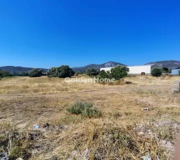 Professional Plot 5000m<sup>2</sup> for rent photo 5009960