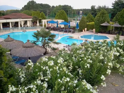 Hotel 17000m<sup>2</sup> for sale photo 3