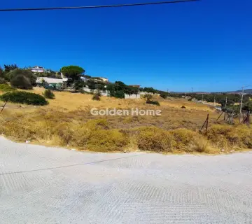 Professional Plot 4832m<sup>2</sup> for rent photo 5009868