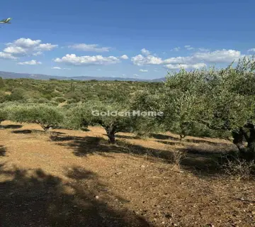 Parcel 10800m<sup>2</sup> for sale photo 5007569