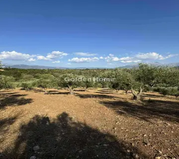 Parcel 10800m<sup>2</sup> for sale photo 5007569