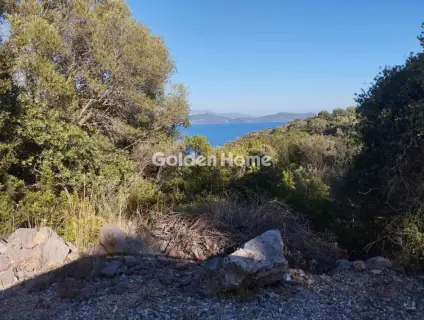 Αγροτεμάχιο 4100τ.μ. προς πώληση φωτογραφία 2