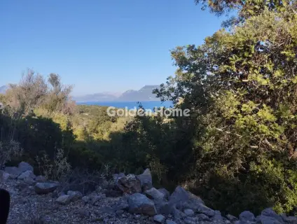 Αγροτεμάχιο 4100τ.μ. προς πώληση φωτογραφία 1