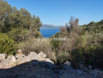 Αγροτεμάχιο 4100τ.μ. προς πώληση φωτογραφία 3