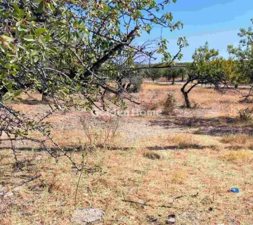 Professional Plot 1100m<sup>2</sup> for sale photo 5009990