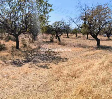 Professional Plot 1100m<sup>2</sup> for sale photo 5009990