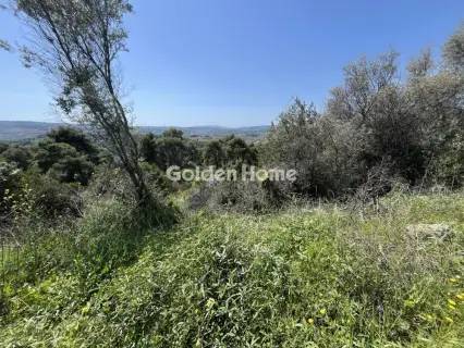 Residential 1200m<sup>2</sup> for sale photo 5