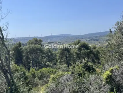 Οικιστικό 1200τ.μ. προς πώληση φωτογραφία 6