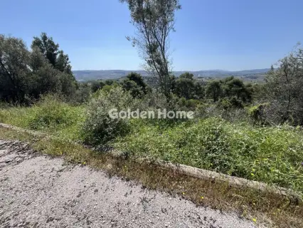 Οικιστικό 1200τ.μ. προς πώληση φωτογραφία 7