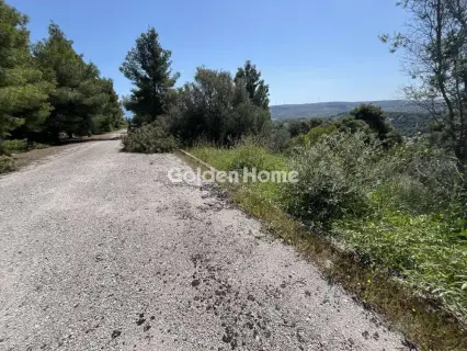 Οικιστικό 1200τ.μ. προς πώληση φωτογραφία 8
